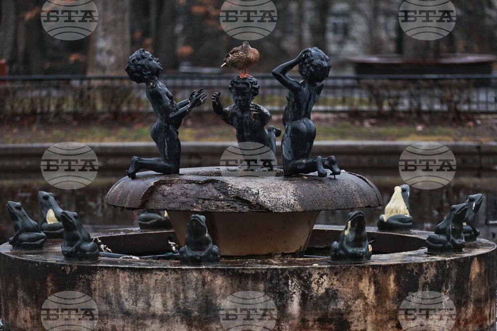 Дъждовно време