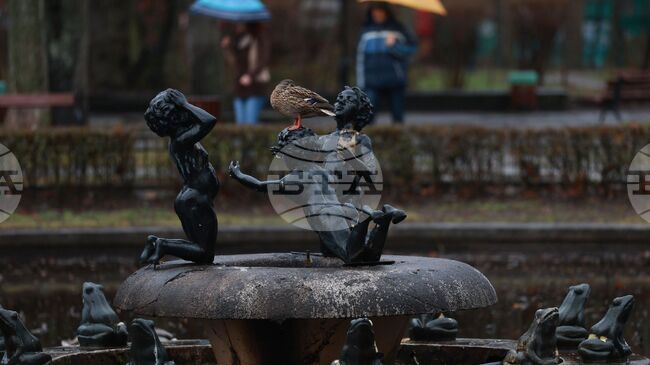 Прогноза за времето 