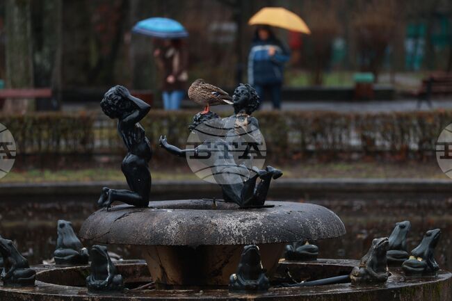 Прогноза за времето 