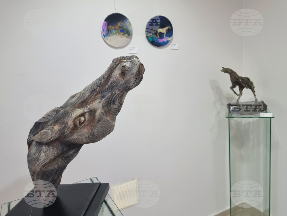 Варна - галерия „Ларго“ - изложба „Под знака на Огнения кон“