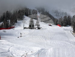 Milan Cortina Olympics Alpine Skiing