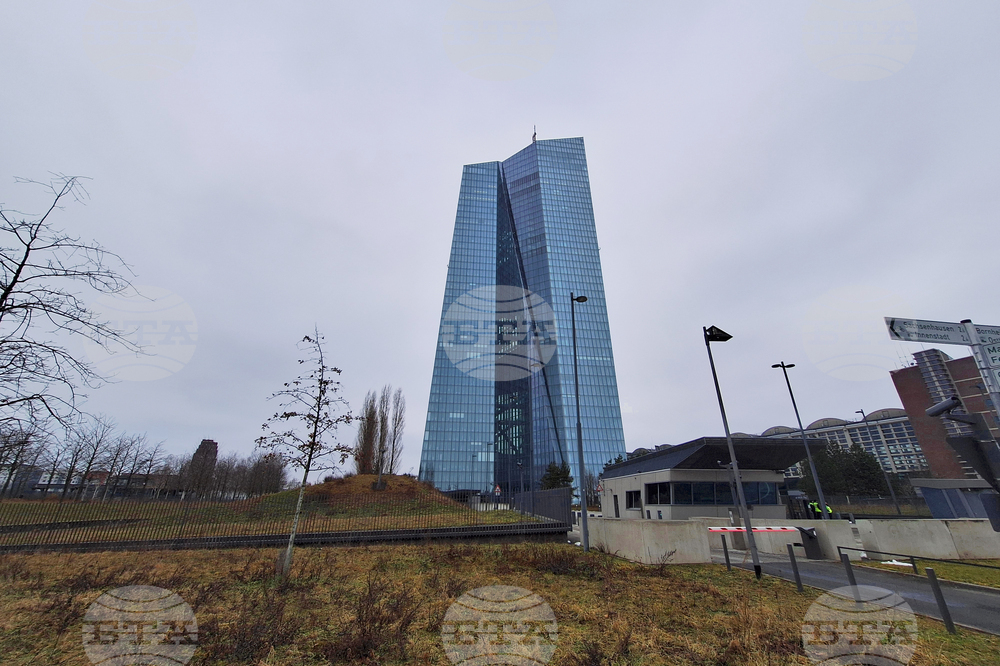 Европа трябва да има по-голяма роля като глобално убежище за инвестиции, каза член на управителния съвет на ЕЦБ