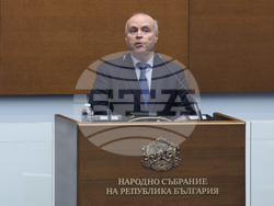 Народно събрание - заседание - Павлин Найденов