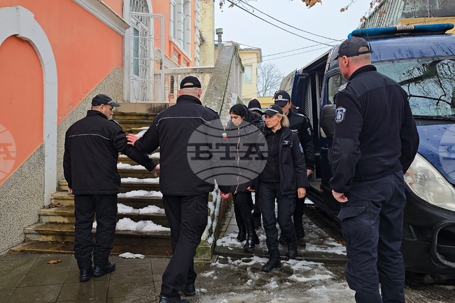 Районният съд в Свищов остави в ареста обвиняемата за насилие над животни жена