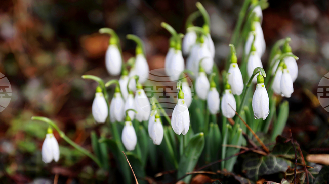 Прогноза за времето