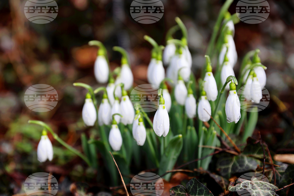 Прогноза за времето