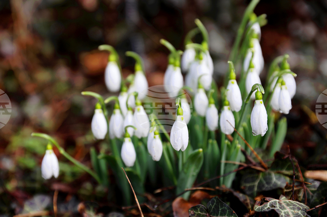 Прогноза за времето