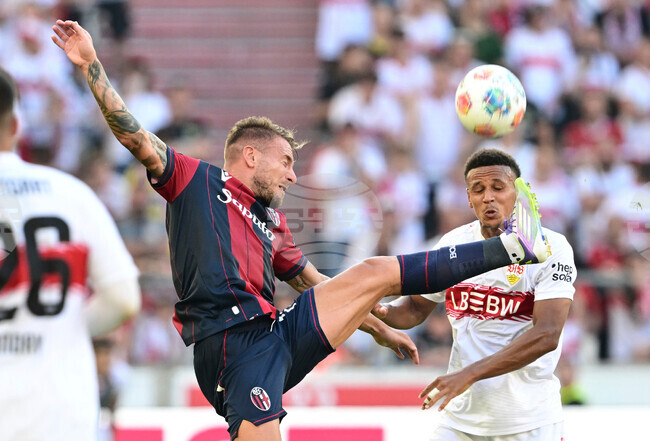 French Preview Soccer