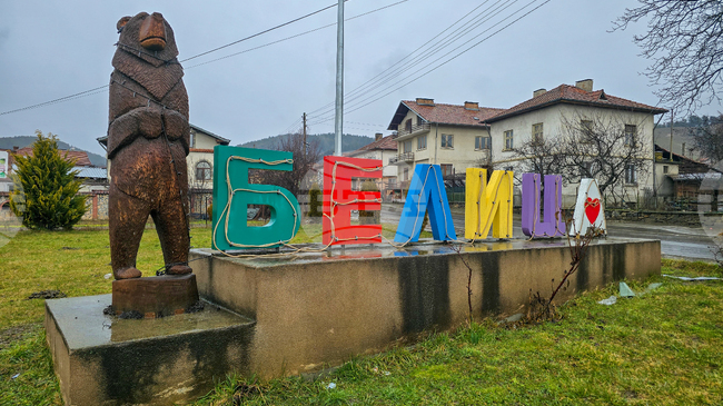 Общинският съвет в Белица прие единични цени за продажба на стояща дървесина на корен