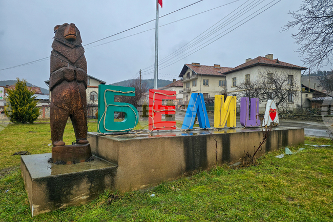 Общинският съвет в Белица прие единични цени за продажба на стояща дървесина на корен