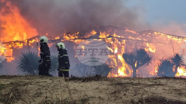 Общо 43 пожара са ликвидирани в страната през изминалото денонощие, няма пострадали