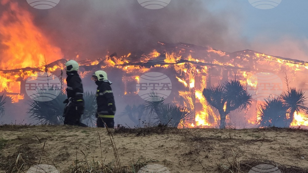 Общо 43 пожара са ликвидирани в страната през изминалото денонощие, няма пострадали