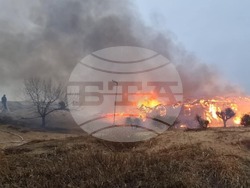 снимка: Галя Тенева/ БТА