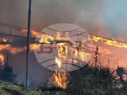 снимка: Галя Тенева/ БТА