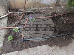 Снимка: Община Добрич