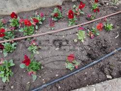 Снимка: Община Добрич