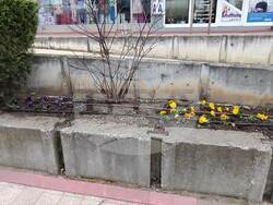 Снимка: Община Добрич