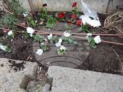 Снимка: Община Добрич