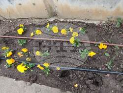 Снимка: Община Добрич