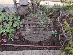 Снимка: Община Добрич