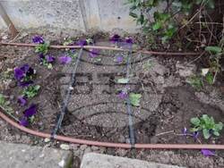 Снимка: Община Добрич