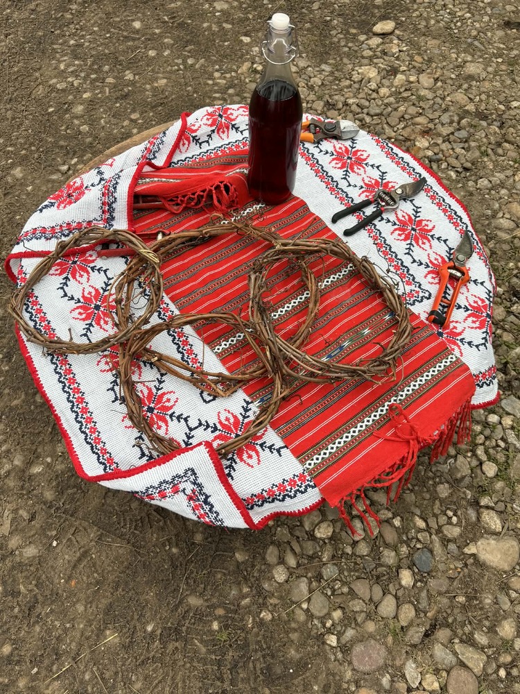 С ритуално зарязване на лозята българите в Извоареле в Румъния отбелязаха Трифон Зарезан