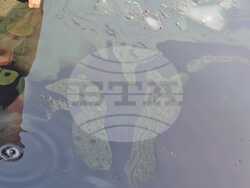 Снимка: Областна администрация Русе