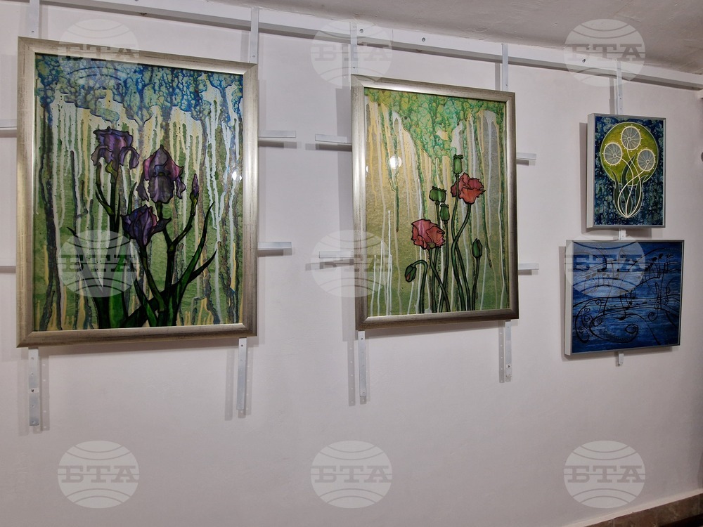 Перник - „Моето цвете, моето цвете“ - изложба - галерия „Аргус“