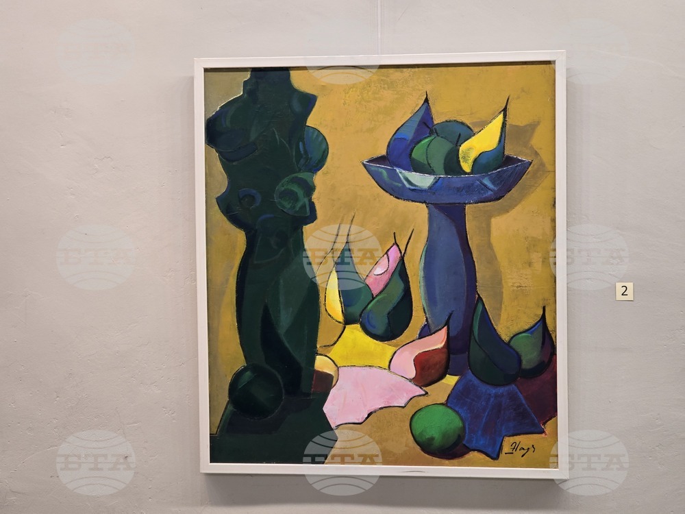 Плевен - Надя Петрова - изложба