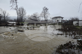 Село Кирково - валежи