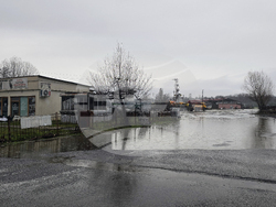 Село Кирково - валежи