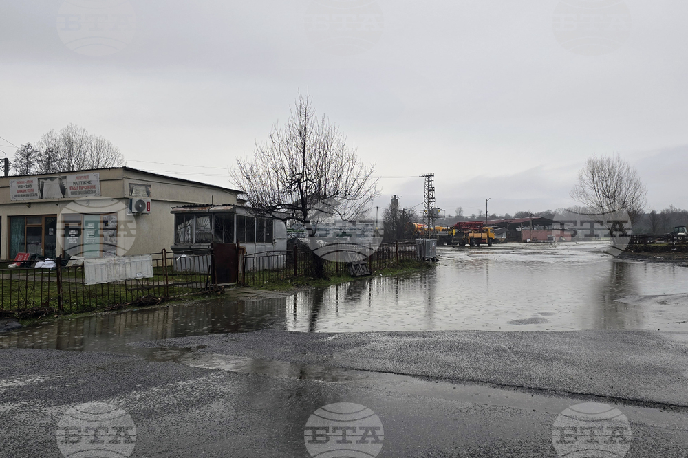 Село Кирково - валежи