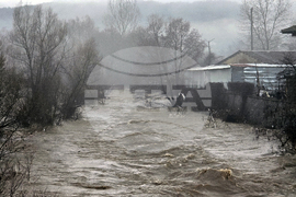 Село Кирково - валежи