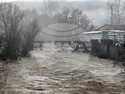 Село Кирково - валежи