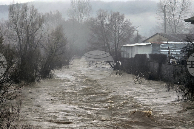 Село Кирково - валежи