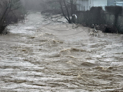 Село Кирково - валежи