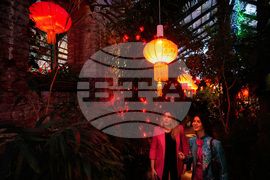 Russia Lunar New Year