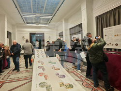 Габрово - „Когато левът става история” - изложба