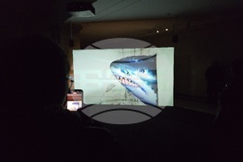 Национална галерия „Квадрат 500“ - изложба