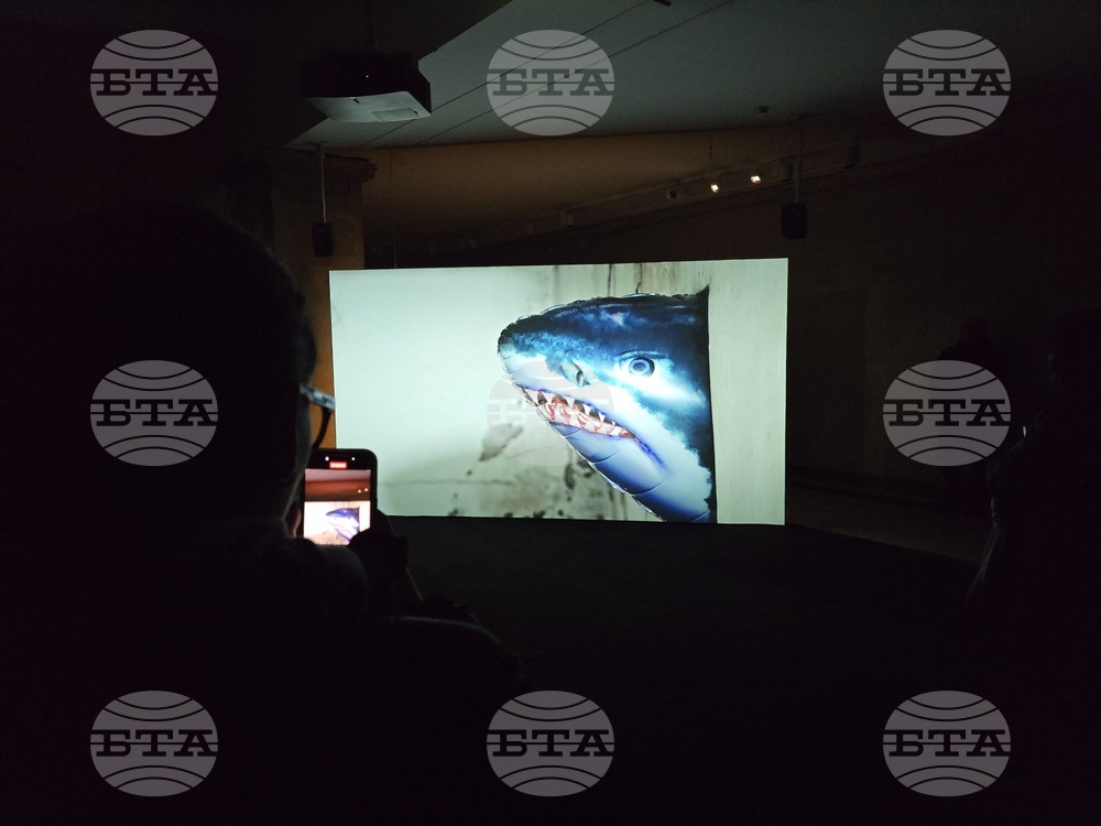 Национална галерия „Квадрат 500“ - изложба