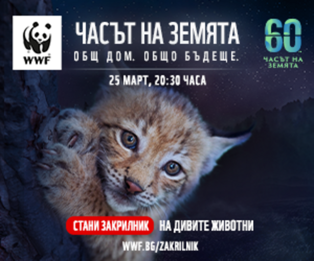 WWF Strives to Bring Back Lynx to Bulgarian Forests