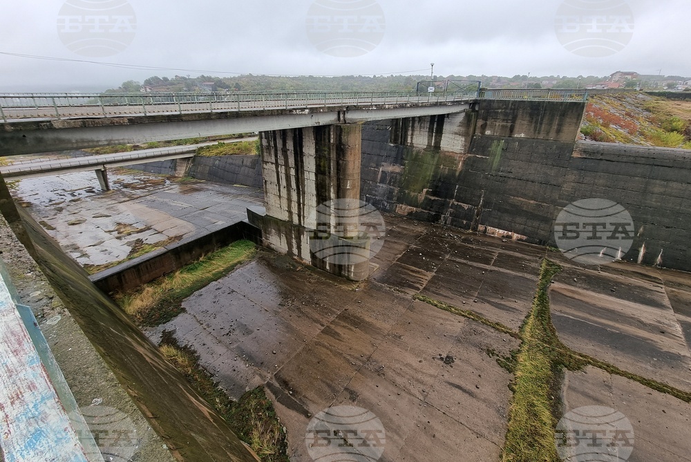 Лесничеи, пожарникари и служители в Ловно-рибарско дружество са спасили сърна, паднала в канала на язовир „Огоста“