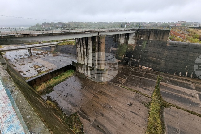 Куче и неговата стопанка са извадени от преливника на язовир „Огоста“, съобщиха от полицията