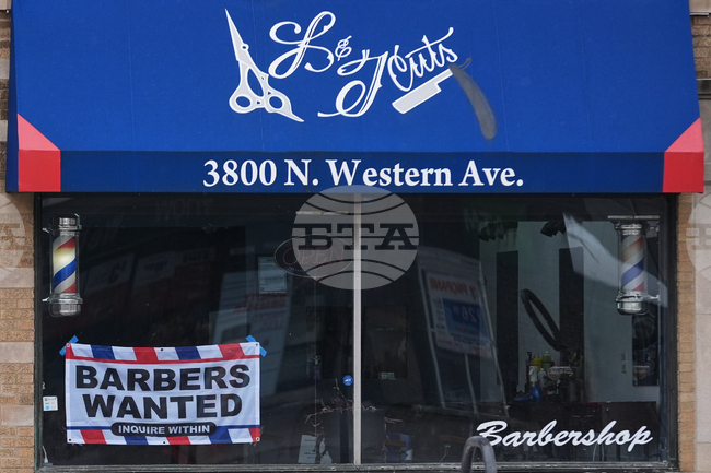 Hiring, Employment, Job Opportunity