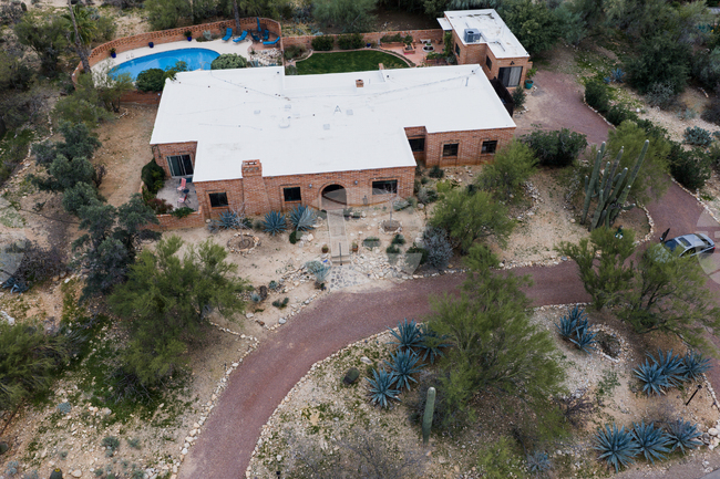 Savannah Guthrie Mom Missing