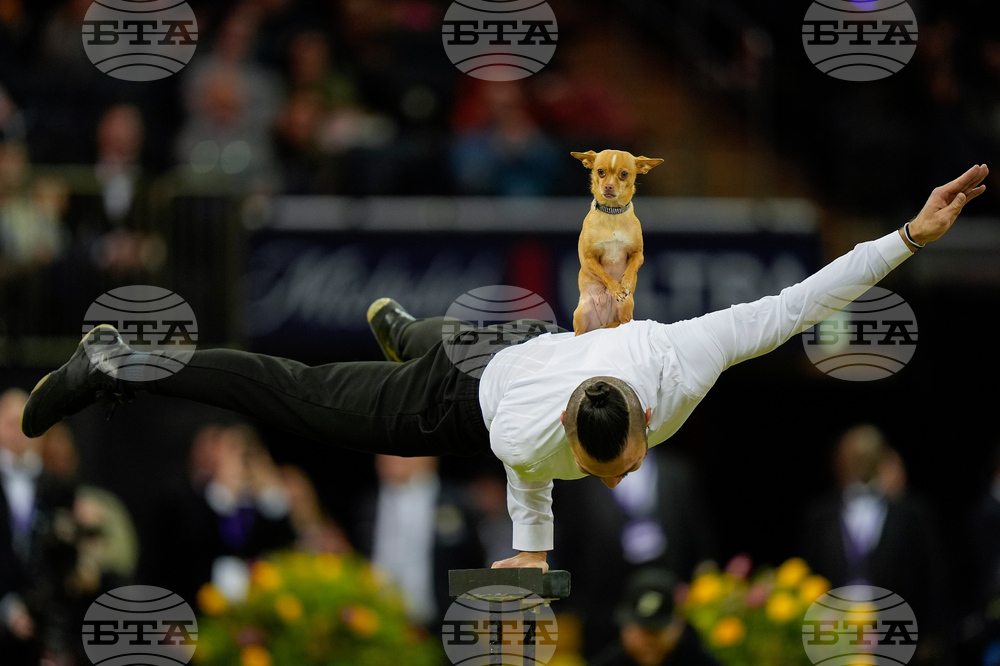 Pictures of the Week Global Photo Gallery