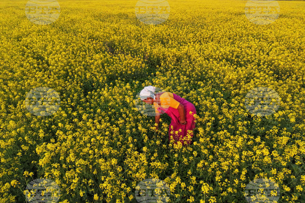 Pictures of the Week Global Photo Gallery