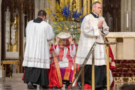 New Archbishop of New York