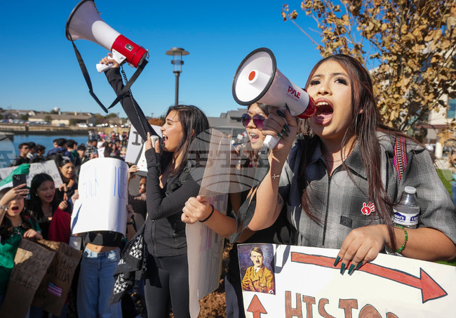 Immigration Enforcement Texas