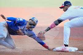 Panama Puerto Rico Baseball